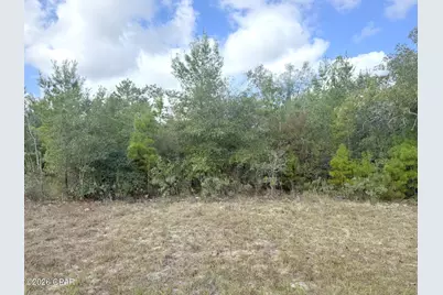 Xxx Parkview Drive #Lot 13, Chipley, FL 32428 - Photo 4