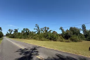 3308 Parkridge Rd, Marianna, FL 32446 - Photo 104