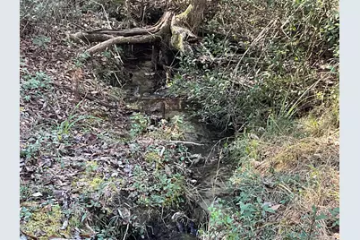 2355 Momence Court, Alford, FL 32420 - Photo 38