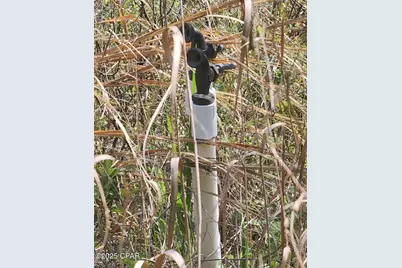 6405 Highway 77, Chipley, FL 32428 - Photo 12