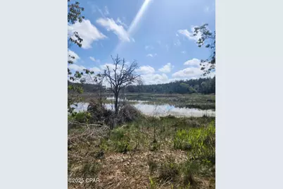 6405 Highway 77, Chipley, FL 32428 - Photo 8