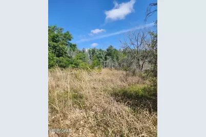 6405 Highway 77, Chipley, FL 32428 - Photo 14