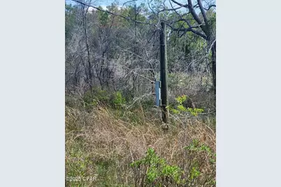 6405 Highway 77, Chipley, FL 32428 - Photo 10