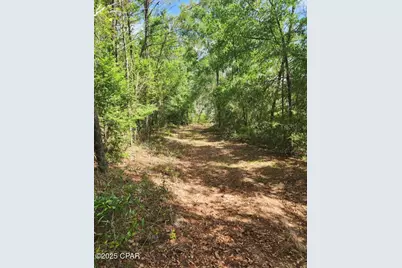 6405 Highway 77, Chipley, FL 32428 - Photo 10