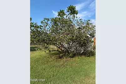 4291 6th Avenue, Marianna, FL 32446 - Photo 46