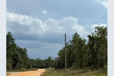 000 Beaverhead Street, Alford, FL 32420 - Photo 2