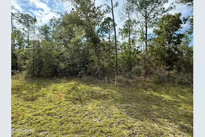 000 Beaverhead Street, Alford, FL 32420 - Photo 1