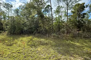 000 Beaverhead St, Alford, FL 32420 - Photo 1