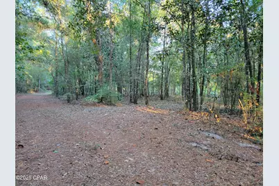 0000 Hardwood Lane, Ponce de Leon, FL 32455 - Photo 4