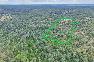 11233 Lawrence Rd, Fountain, FL 32438 - Photo 36