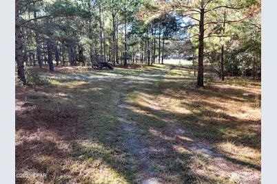 1680 Will Lee Road, Bonifay, FL 32425 - Photo 22