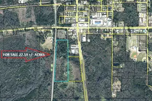 27 59 Acre Hwy 231 and Cartledge Rd, Cottondale, FL 32431 - Photo 1