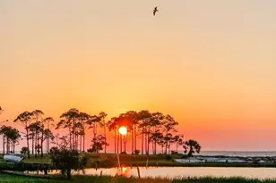 1570 E Gulf Beach Dr, Saint George Island, FL 32328 - Photo 110