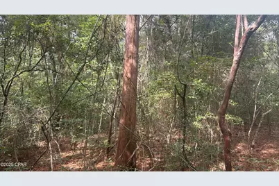 0 Strickland Road, Ebro, FL 32437 - Photo 14