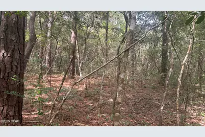 0 Strickland Road, Ebro, FL 32437 - Photo 10