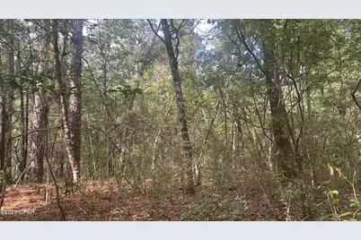 0 Strickland Road, Ebro, FL 32437 - Photo 8