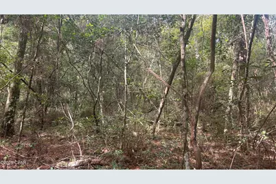 0 Strickland Road, Ebro, FL 32437 - Photo 12