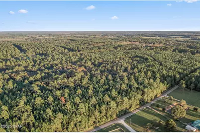 Xxx Parrish Still Road, Vernon, FL 32462 - Photo 20