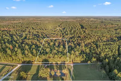 Xxx Parrish Still Road, Vernon, FL 32462 - Photo 8