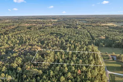 Xxx Parrish Still Road, Vernon, FL 32462 - Photo 6