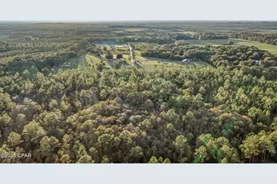 Xxx Parrish Still Road, Vernon, FL 32462 - Photo 16