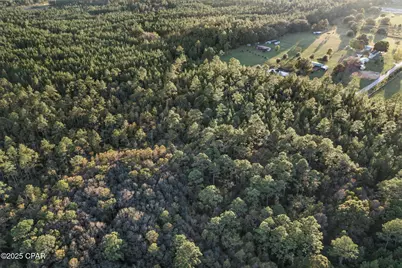 Xxx Parrish Still Road, Vernon, FL 32462 - Photo 18