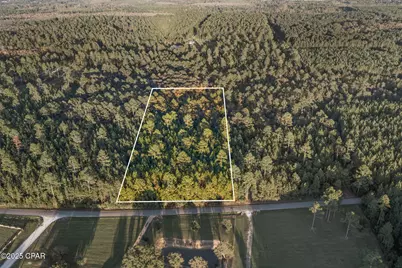 Xxx Parrish Still Road, Vernon, FL 32462 - Photo 10