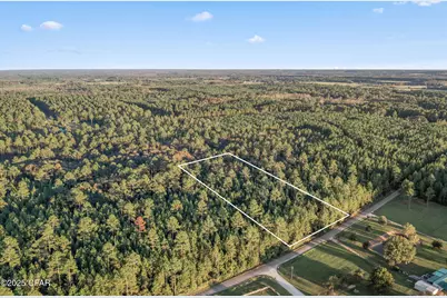 Xxx Parrish Still Road, Vernon, FL 32462 - Photo 1