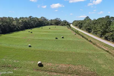 00 Hwy 160 Highway, Westville, FL 32464 - Photo 8
