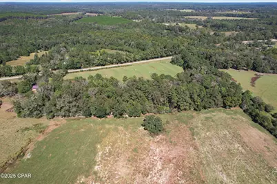 00 Hwy 160 Highway, Westville, FL 32464 - Photo 4