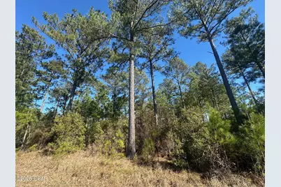 000 River Road, Sneads, FL 32460 - Photo 6