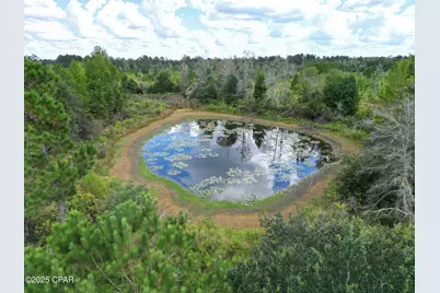 000 River Road, Sneads, FL 32460 - Photo 10