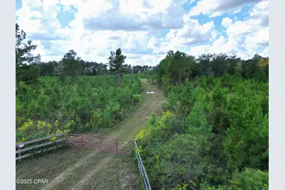 000 River Road, Sneads, FL 32460 - Photo 4