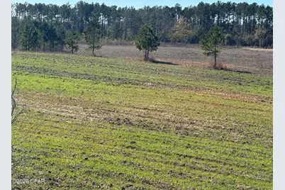 000 River Road, Sneads, FL 32460 - Photo 18