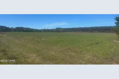 000 River Road, Sneads, FL 32460 - Photo 8