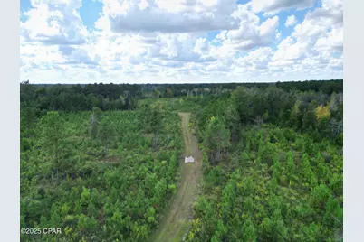 000 River Road, Sneads, FL 32460 - Photo 6