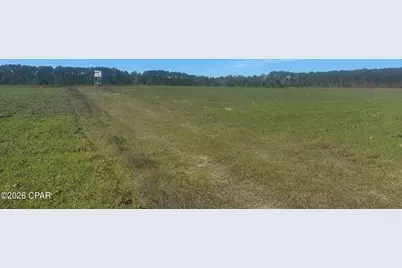 000 River Road, Sneads, FL 32460 - Photo 22