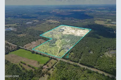 000 River Road, Sneads, FL 32460 - Photo 2