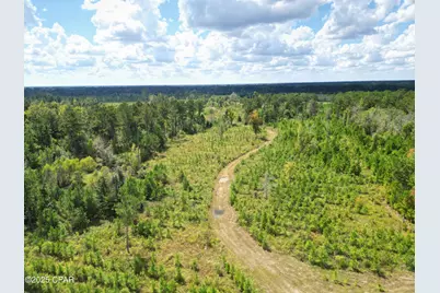 000 River Road, Sneads, FL 32460 - Photo 12