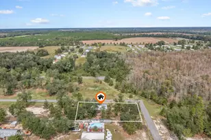 6667 Grande Oak Loop, Grand Ridge, FL 32442 - Photo 26