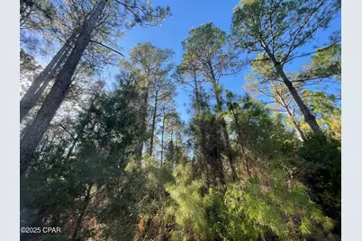 0010 Hawthorne Trail, Bonifay, FL 32425 - Photo 8