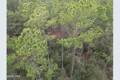 0010 Hawthorne Trail, Bonifay, FL 32425 - Photo 2