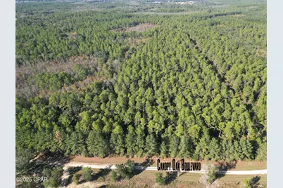0010 Hawthorne Trail, Bonifay, FL 32425 - Photo 4