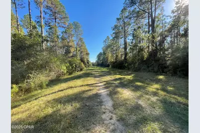 0010 Hawthorne Trail, Bonifay, FL 32425 - Photo 1