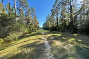 0010 Hawthorne Trail, Bonifay, FL 32425 - Photo 1