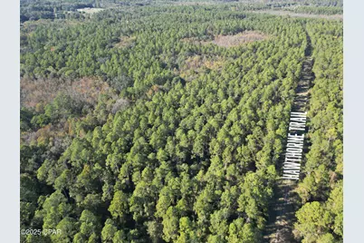 0010 Hawthorne Trail, Bonifay, FL 32425 - Photo 6