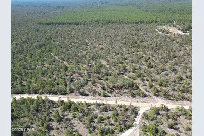 0050 Foxhunt Road, Chipley, FL 32428 - Photo 6