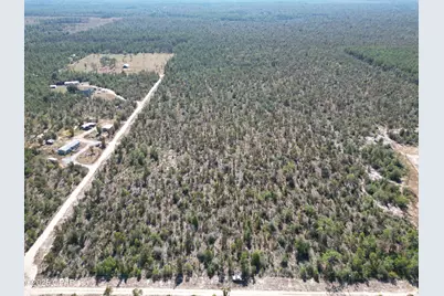 0050 Foxhunt Road, Chipley, FL 32428 - Photo 4