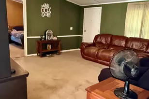 738 Bryant Landing Rd, Wewahitchka, FL 32465 - Photo 2