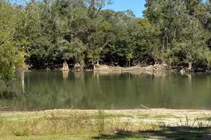 738 Bryant Landing Rd, Wewahitchka, FL 32465 - Photo 20